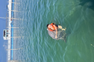 Вьетнам, Индонезия, Мальдивы, Сейшелы, Шри-Ланка, c 27 апреля 2024 по 13 мая 2024, на 10 - 14 дней. Фото 4