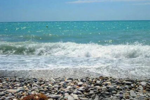 Россия (Чёрное море), c 25 июня 2025 по 7 июля 2025, на 5 - 10 дней
