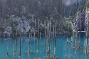 Египет, Казахстан, Китай, Россия, Турция, не важно когда, на 7 - 20 дней. Фото 1