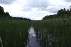 Россия (Карелия), c 1 сентября 2025 по 5 сентября 2025, на 5 - 12 дней