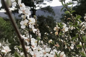 Россия (Алтай), не важно когда, на 6 - 14 дней. Фото 3