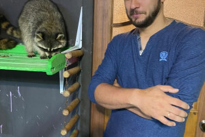 Абхазия, Россия (Сочи, Калининград, Адлер, Санкт-Петербург), Турция, c 29 мая 2024 по 5 июня 2024, на 5 - 7 дней. Фото 3