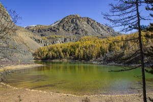 Россия (Алтай), старт c 10 по 22 сентября 2023, на 10 - 12 дней. Фото 4