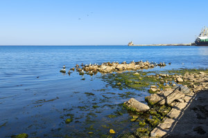 Россия (Анапа, Геленджик, Чёрное море), c 26 июня 2026 по 2 июля 2026. Фото 1