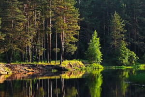 Доминикана, Индонезия, Малайзия, Мальдивы, Турция, c 12 июня 2026 по 30 декабря 2026, на 10 - 15 дней. Фото 5