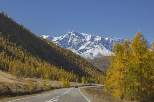 Россия (Алтай), старт c 10 по 22 сентября 2023, на 10 - 12 дней. Фото 2