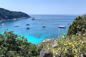 Таиланд (Пхукет), c 10 марта 2025 по 21 марта 2025, на 11 - 11 дней. Фото 2