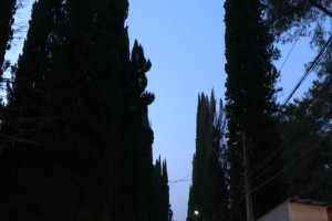 Абхазия, неважно когда