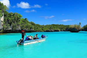 Индонезия, c 31 января 2026