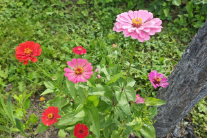 Египет, ОАЭ, Турция, c 18 октября 2024 по 27 октября 2024, на 4 - 7 дней