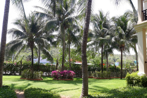 Вьетнам, Доминикана, Мальдивы, Таиланд, неважно когда, на 14 дней. Фото 3