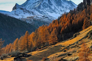 Швейцария, старт c 9 по 12 декабря 2024. Фото 2