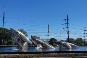 Таиланд (Пхукет), c 10 марта 2025 по 21 марта 2025, на 11 - 11 дней. Фото 10