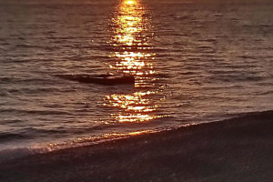 Абхазия, c 10 ноября 2025 по 24 ноября 2025, на 14 дней. Фото 3