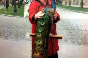 Египет, Россия, c 25 апреля 2025 по 10 мая 2025, на 7 дней