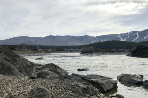 Россия (Алтай), не важно когда, на 6 - 14 дней. Фото 2