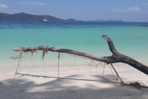 Таиланд (Пхукет), c 10 марта 2025 по 21 марта 2025, на 11 - 11 дней. Фото 6