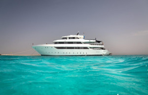 Kit surf – фотографии Египта