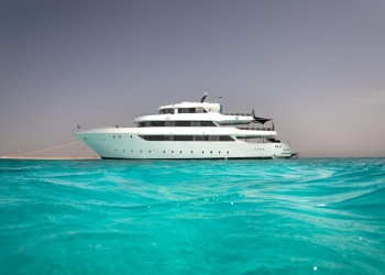 Kit surf – фотографии Египта