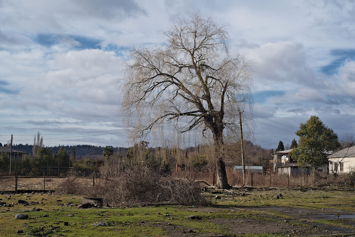 Увядающая природа – фотографии Абхазии