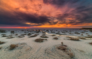 Озеро Эльтон 8 – фотографии России