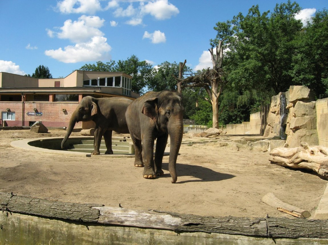 Пражский зоопарк – фотографии Чехии