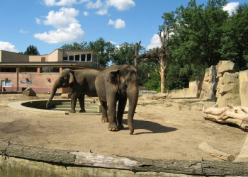 Пражский зоопарк – фотографии Чехии