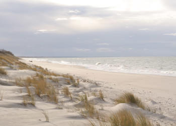 Неглубокий залив на Куршской косе в Калининградской области достаточно прогревается уже с конца мая – фотографии России