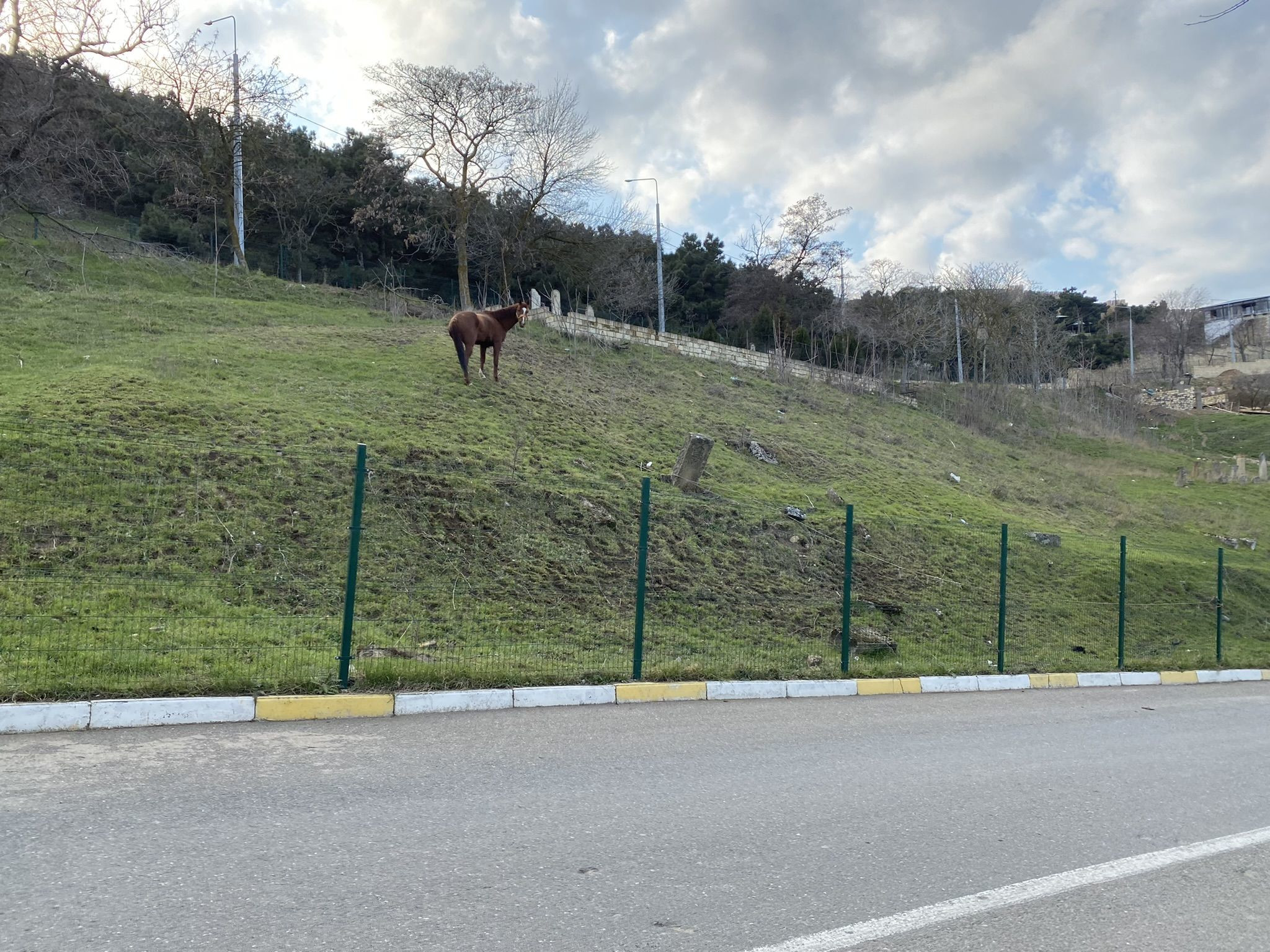 Лошадь у дороги возле крепости Нарын-кала – фотографии России