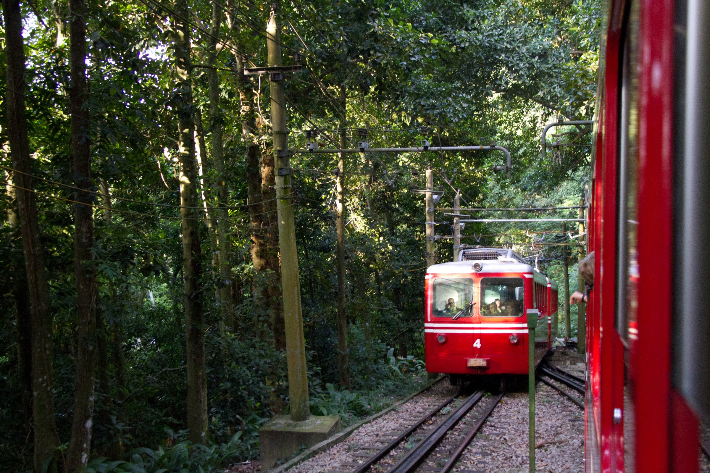 Поезд на гору Корковадо – фотографии Бразилии