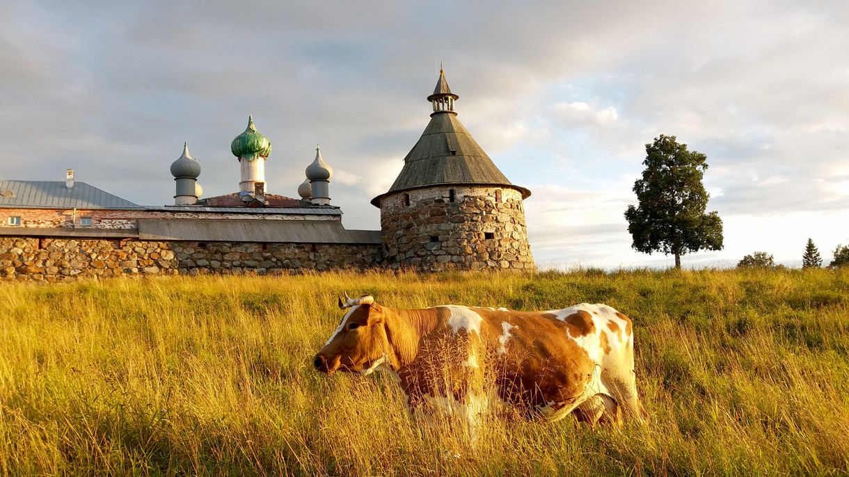Действующий мужской монастырь в Соловках, Архангельская область, Россия – фотографии России