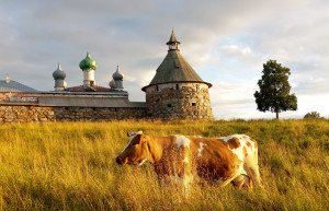 Действующий мужской монастырь в Соловках, Архангельская область, Россия – фотографии России
