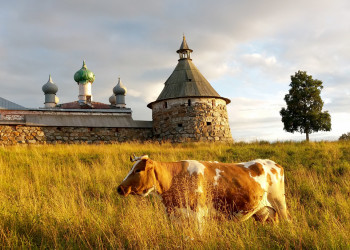 Действующий мужской монастырь в Соловках, Архангельская область, Россия – фотографии России