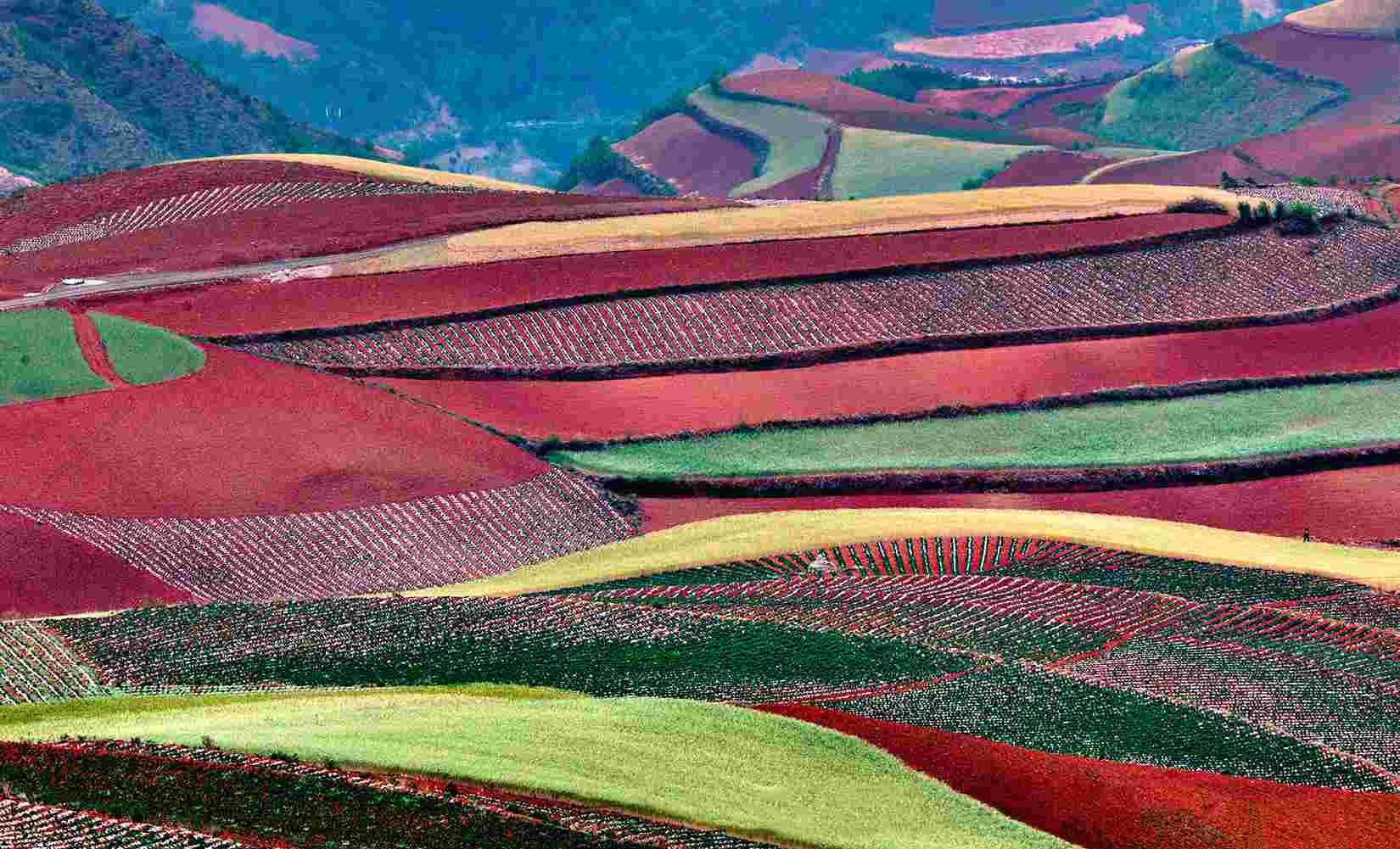 Фотографы совершают трудное путешествие в засушливые горы Красной Земли Дончуань в Китае – фотографии Китая