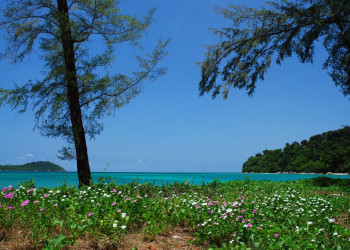Национальный парк, Тайланд – фотографии Таиланда