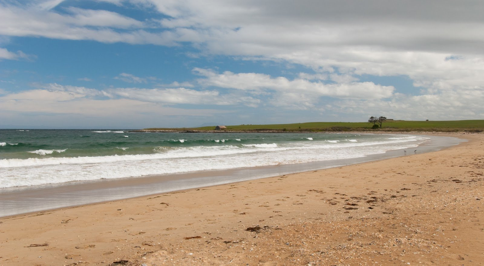 Пляж в Тасмании, Австралия. Фото 1 – фотографии Австралии