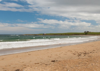 Пляж в Тасмании, Австралия. Фото 1 – фотографии Австралии