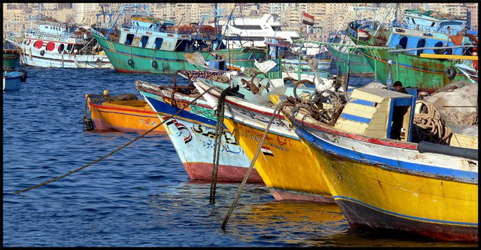 Александрия, Египет, фото № 34823 – фотографии Египта