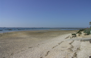 Берег на острове Ре, Франция – фотографии Франции