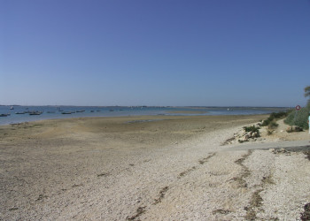 Берег на острове Ре, Франция – фотографии Франции