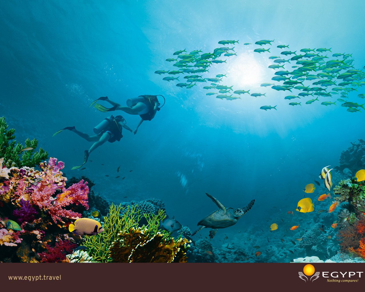 Египет, фото № 617 – фотографии Египта