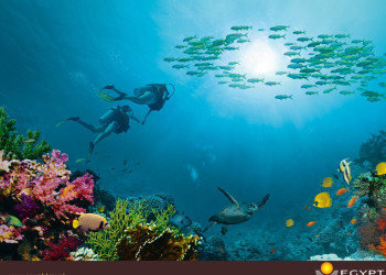 Египет, фото № 617 – фотографии Египта