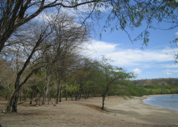 Плайя Панама, Гуанакасте провинция, Коста-Рика, фото № 39704 – фотографии Коста-Рики