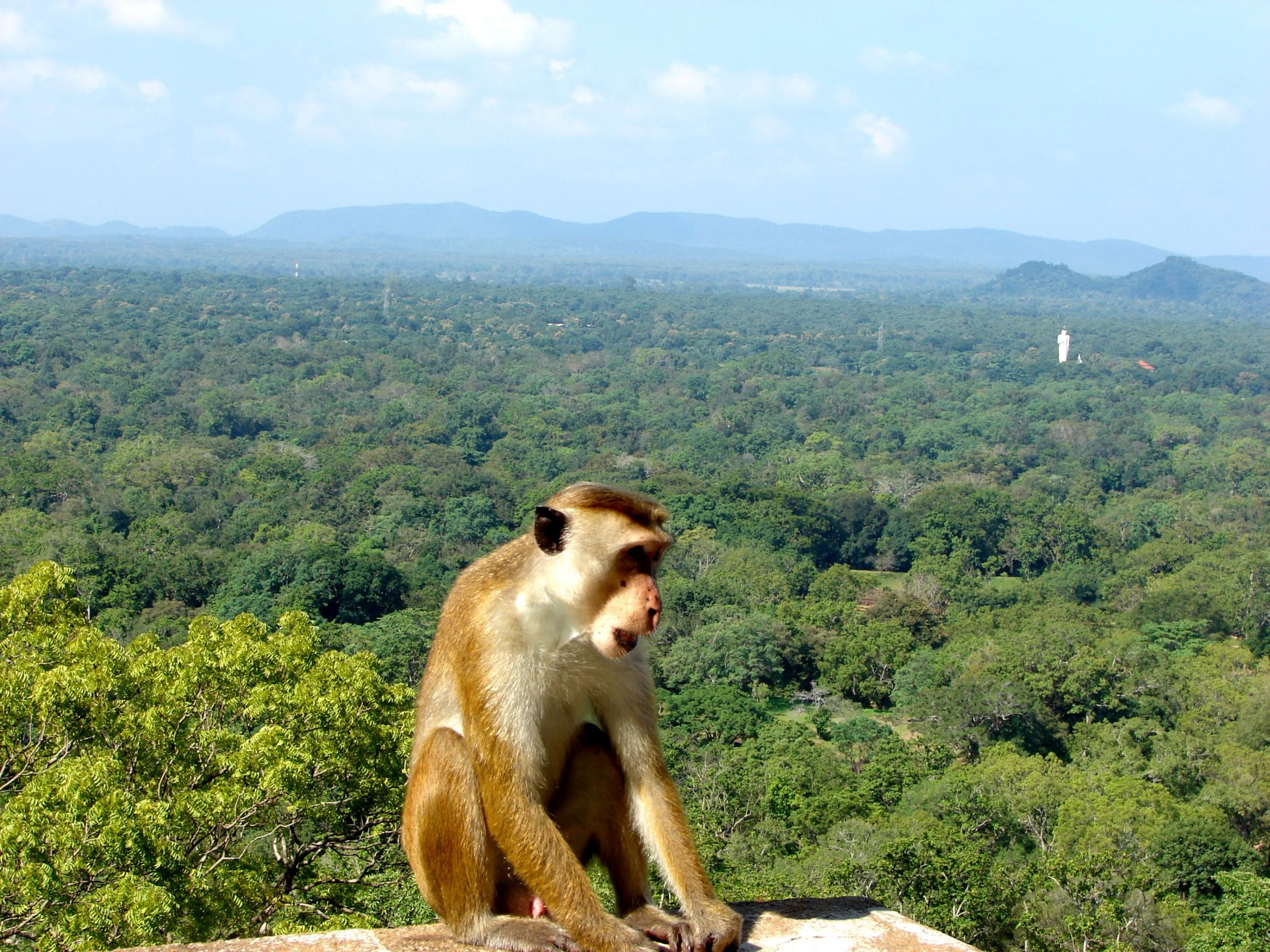 Сигирия, Шри-Ланка, фото № 52305 – фотографии Шри-Ланки