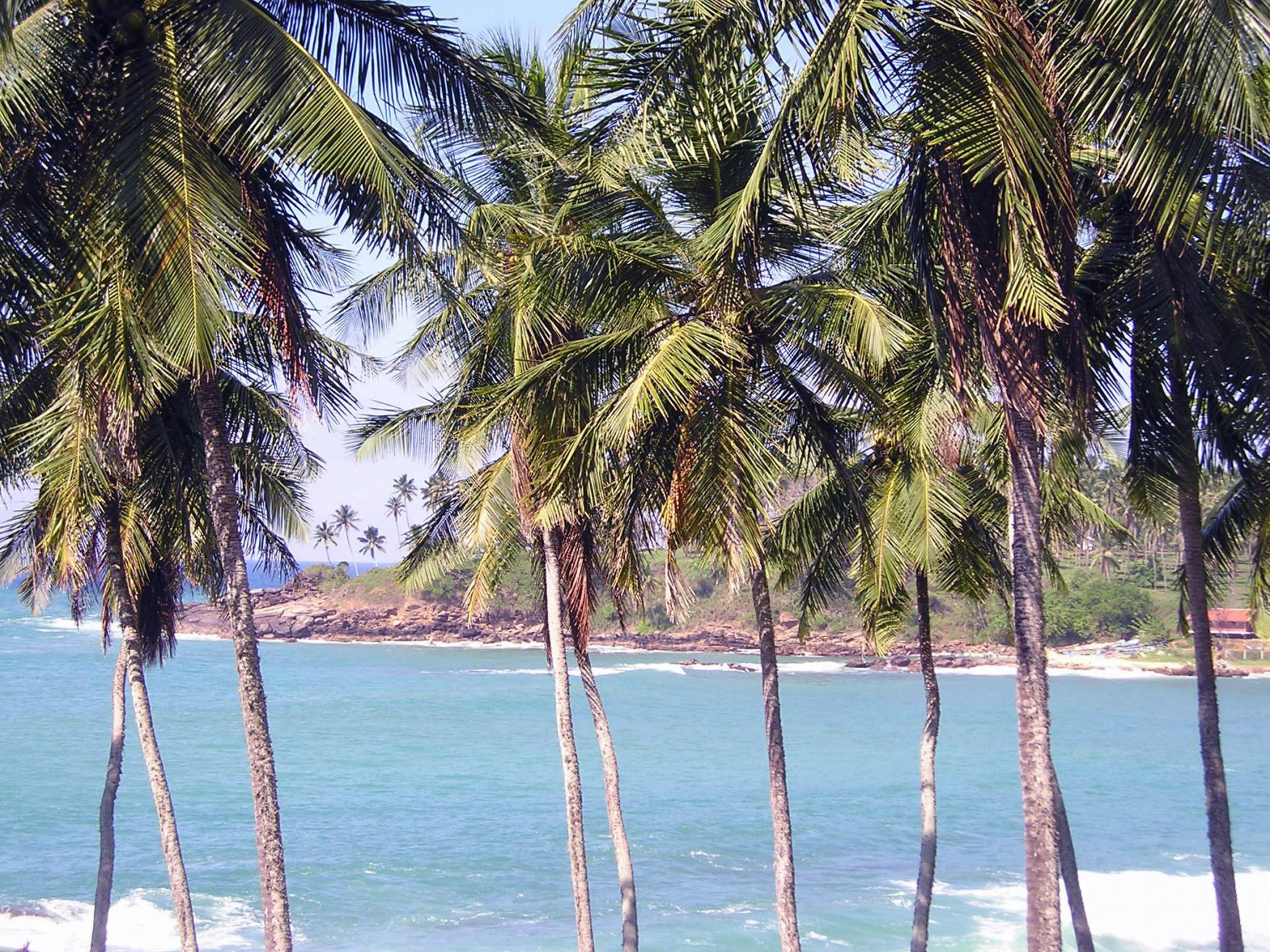 Диквелла, Шри-Ланка, фото № 51141 – фотографии Шри-Ланки