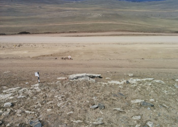 Дорога между Сахюртой и Еланцами – фотографии России