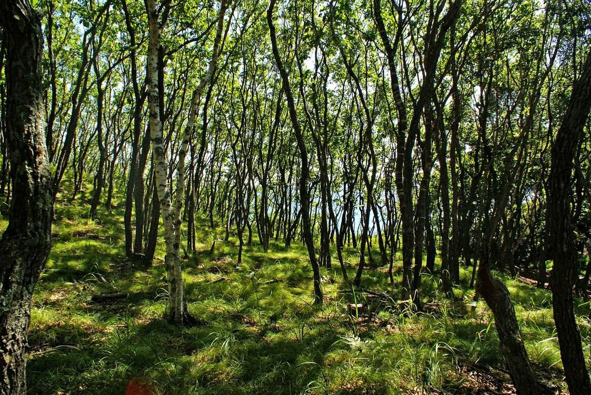 Природа в Лазовском заповеднике, Россия – фотографии России