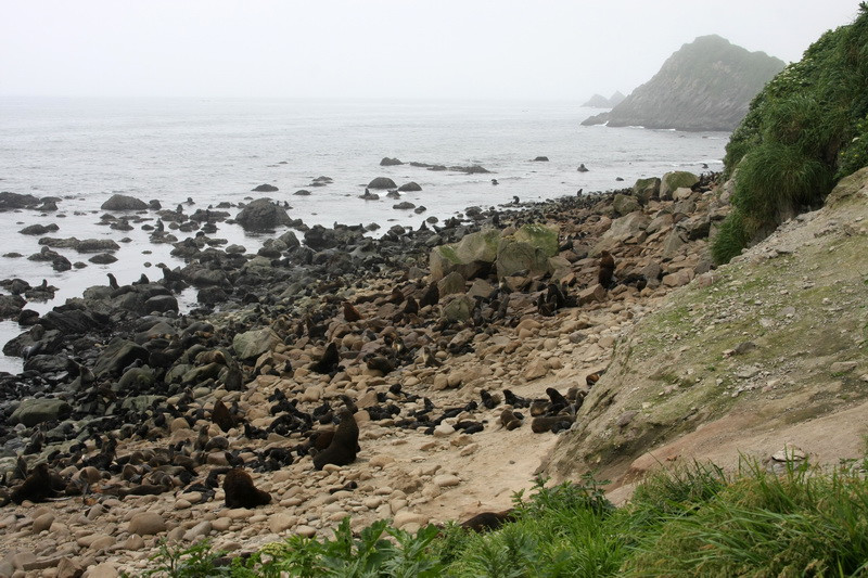 Заповедник. Фото 15 – фотографии России