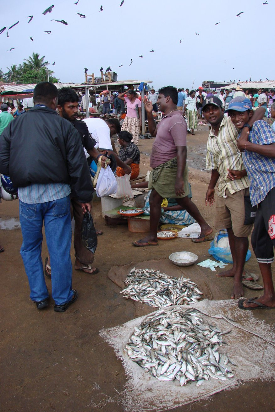 Негомбо, Шри-Ланка, фото № 51878 – фотографии Шри-Ланки