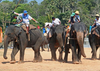 Галле, Шри-Ланка, фото № 50917 – фотографии Шри-Ланки